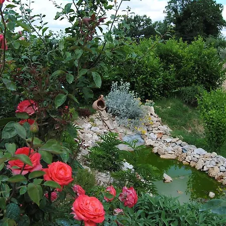 La Pinturella